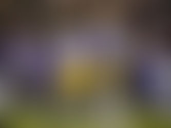 Breaking Down LSU's 2023 Safety Room 