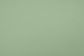 sage green textured background.jpg