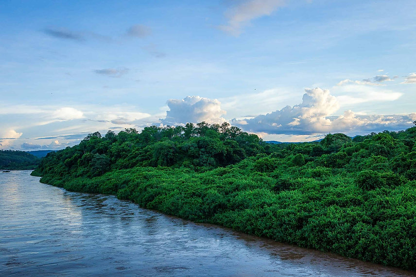 kariba-river-forest-web-scaled.jpeg