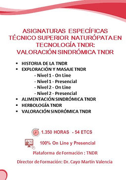 Diapositiva3.JPG