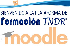 moodle-plataforma.jpg
