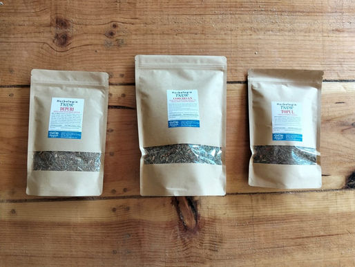 SaludableMENTE en otoño con las infusiones del Dr. Cayo Martín