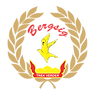 Bergsig Academy Logo .png