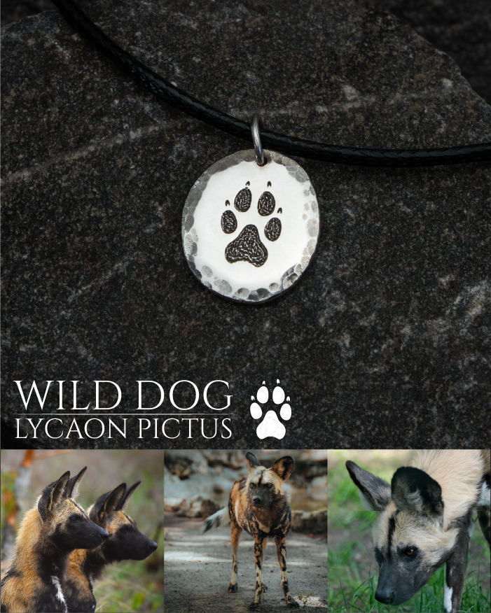 Thumbnail: Spoor Collection -  African Wild Dog