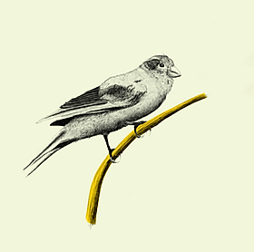 Example Animations0 (0;00;03;29)_1 copy