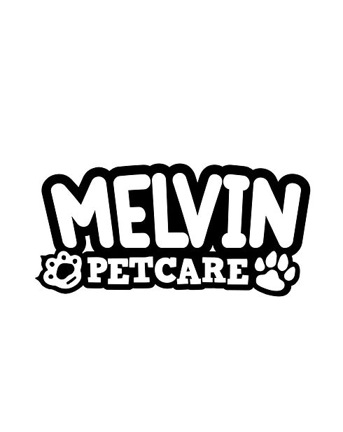 LOGO Melvin para usar.jpeg