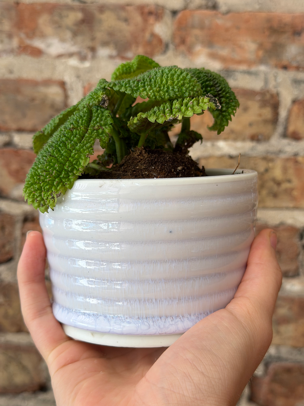 Thumbnail: Soft Lavender Striped Porcelain Planter