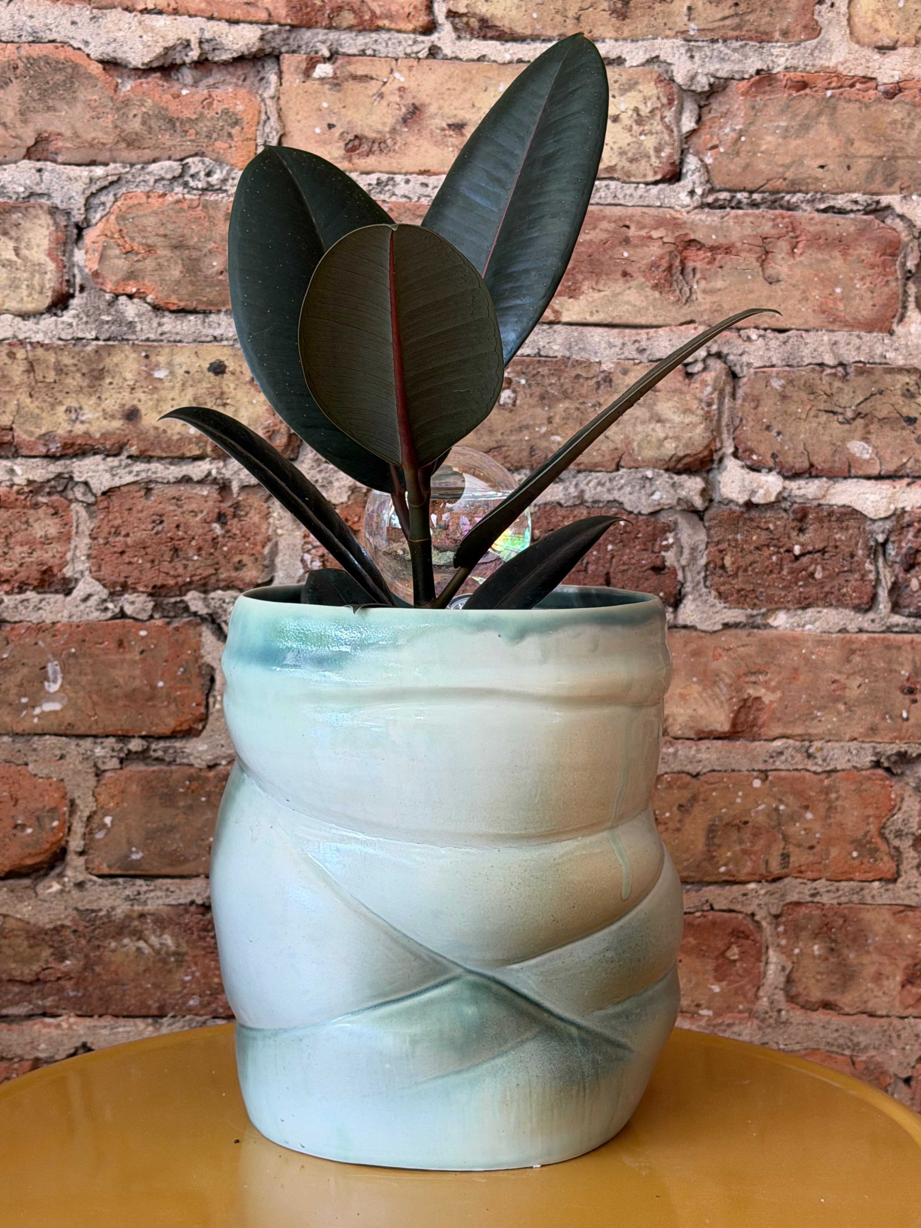 Variegated Seafoam Twist Planter