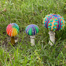 mushroom urchins