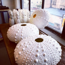 Resin Casts in Progress