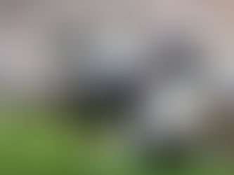 2025 Warren G. Harding NCAA Report: September 29, 2025