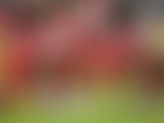 2025 Mahoning Valley NFL Report... Week 7