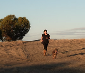 Screenshot 2024-07-11 at 3.37.33 pm.png