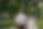 pexels-hissetmehurriyeti-8417699.jpg