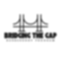 Bridging the Gap - barber program.png