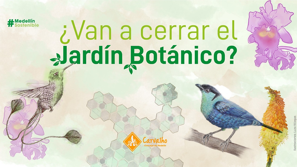 jardin botanico carvalho