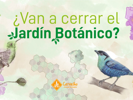 ¿Van a cerrar el Jardín Botánico de Medellín?