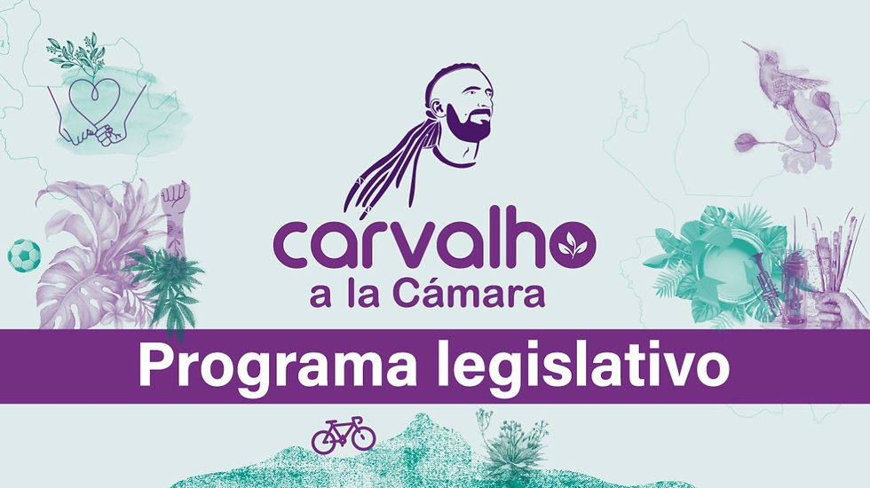 CARVALHO A LA CÁMARA • Programa legislativo  