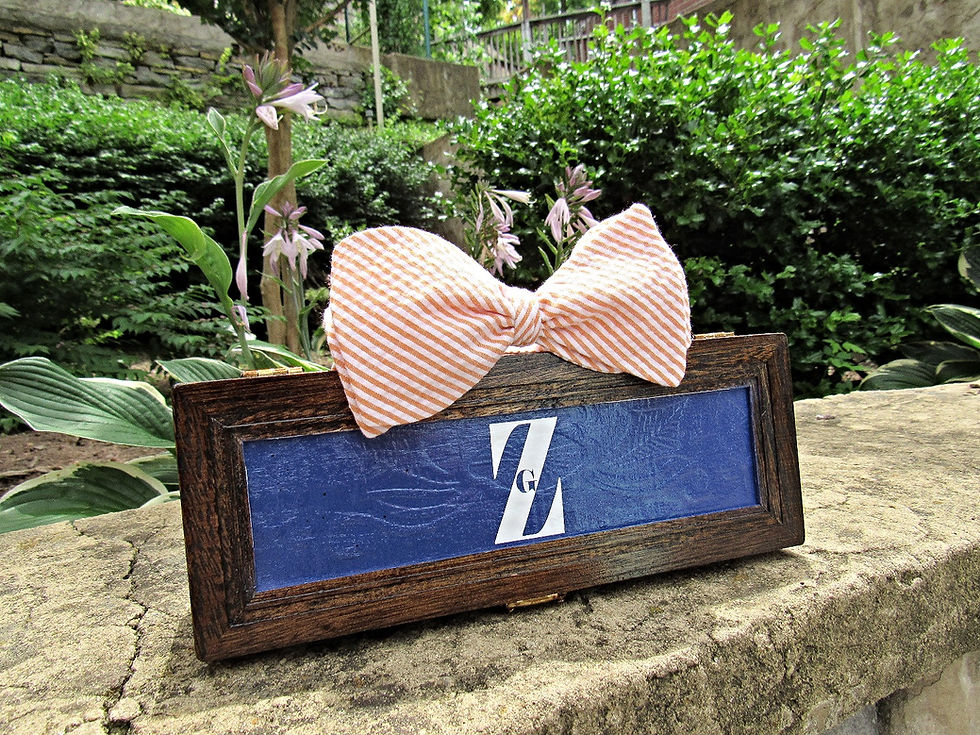 Миниатюра: Orange & White Seersucker Bowtie