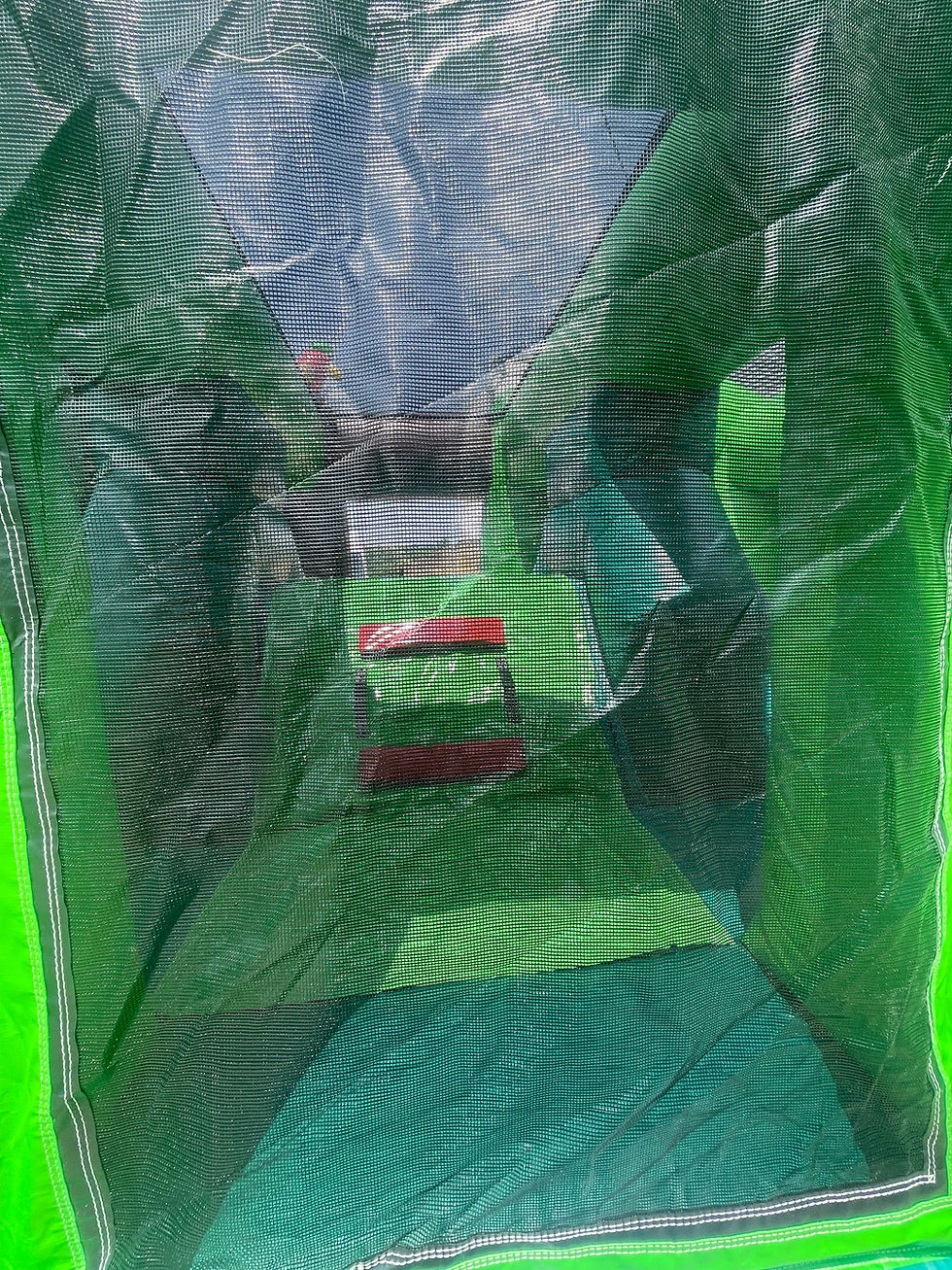 Miniature : Dino Park