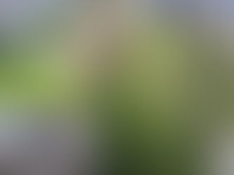 Spring is in the Air!