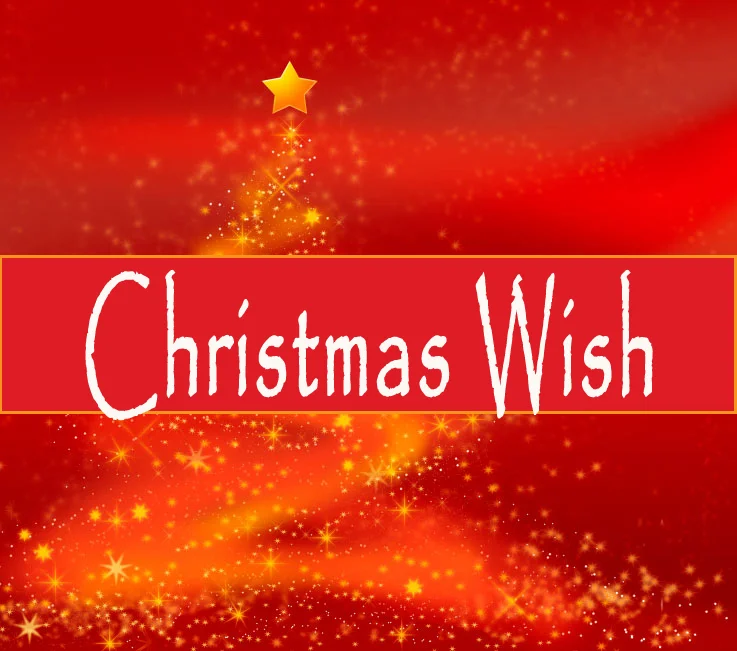 Christmas Wish Applications