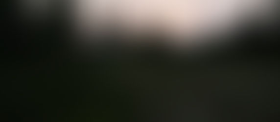 Leaving the wild behind