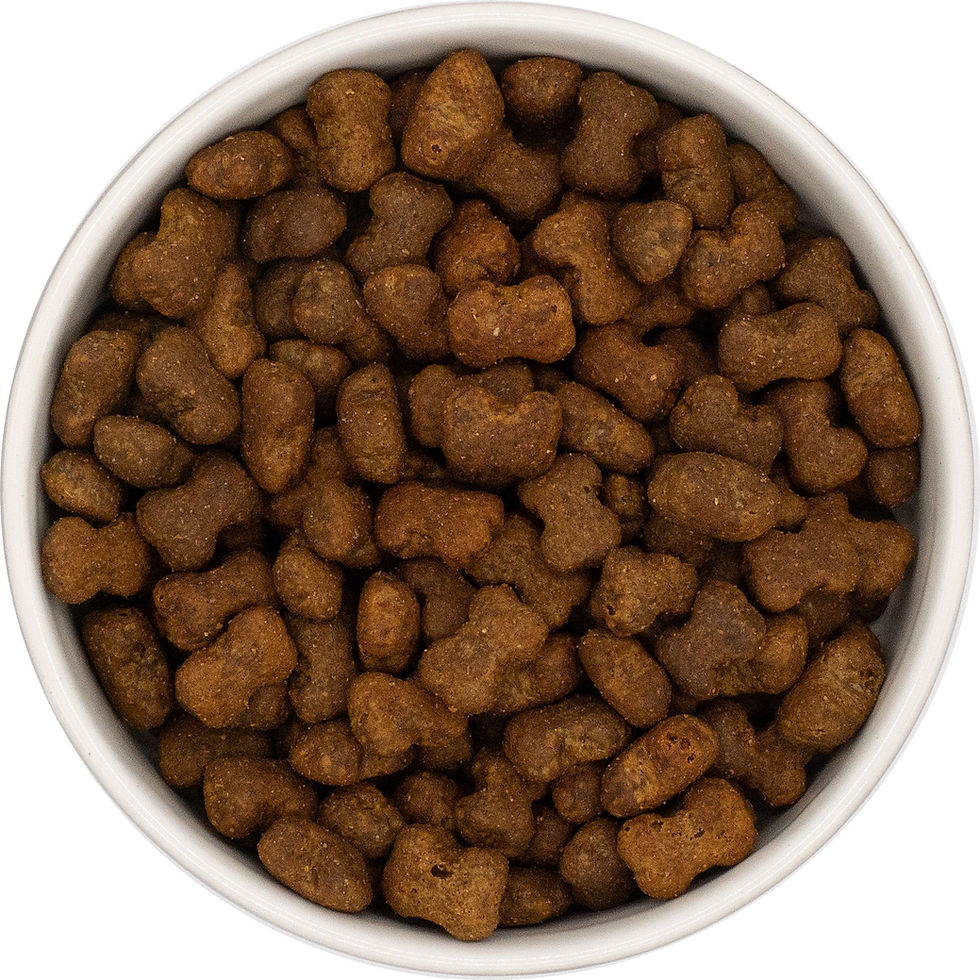 Thumbnail: T3D Immune Support Cat & Dog Treats