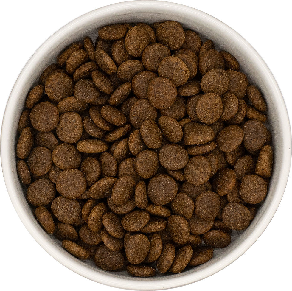 Thumbnail: Adult Duck & Veg Grain Free (BETA)