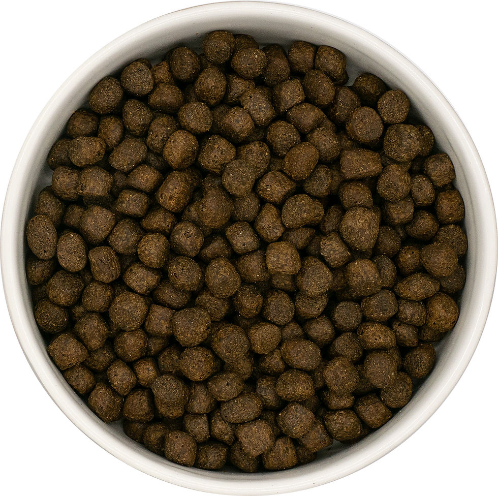 Thumbnail: Puppy Salmon with Haddock & Veg Grain Free (BETA)