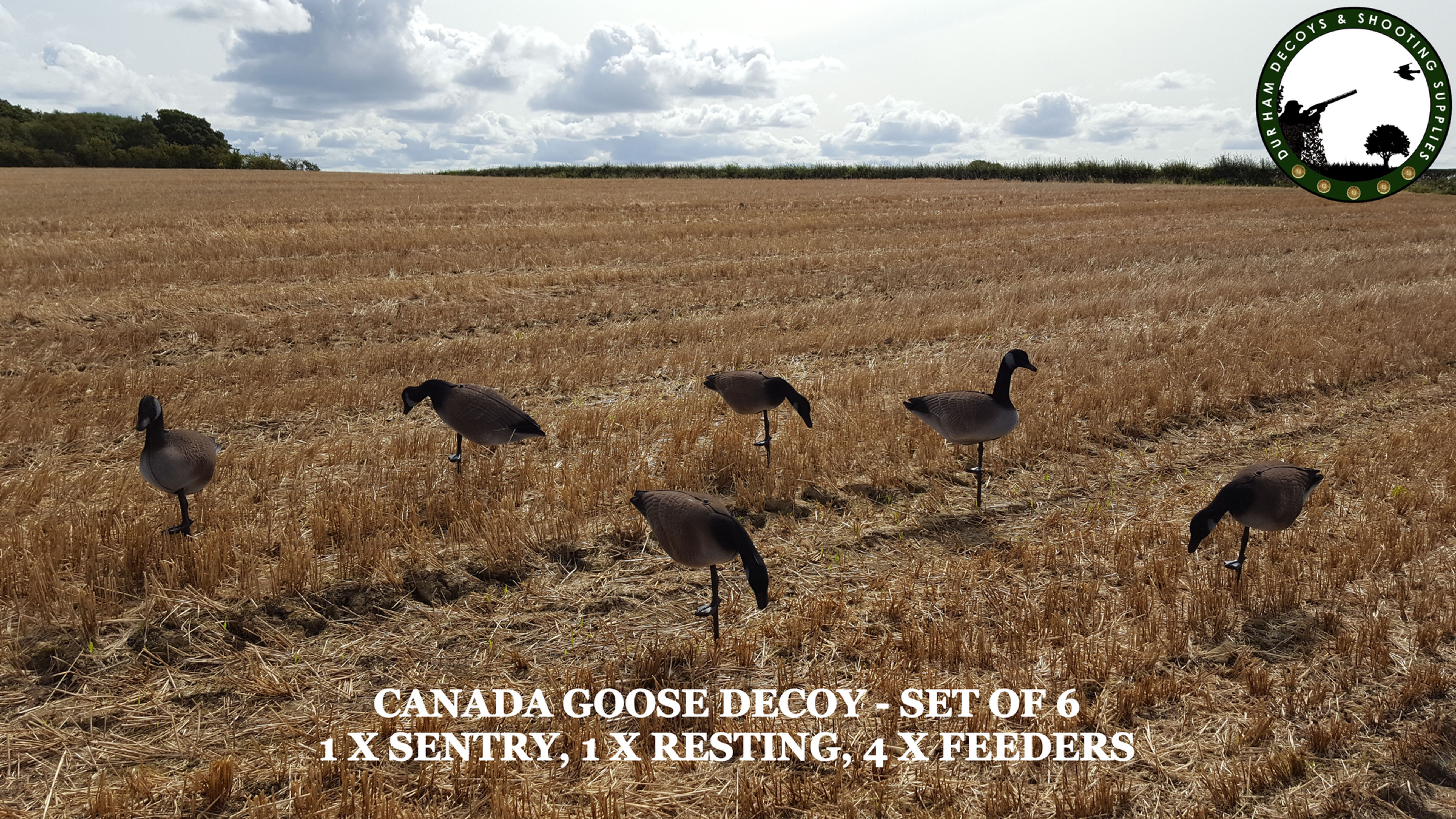 Goose Decoys, Flocked, Foamies, Canada, Greylag, Pinks, Sentry, Rester, Feeder