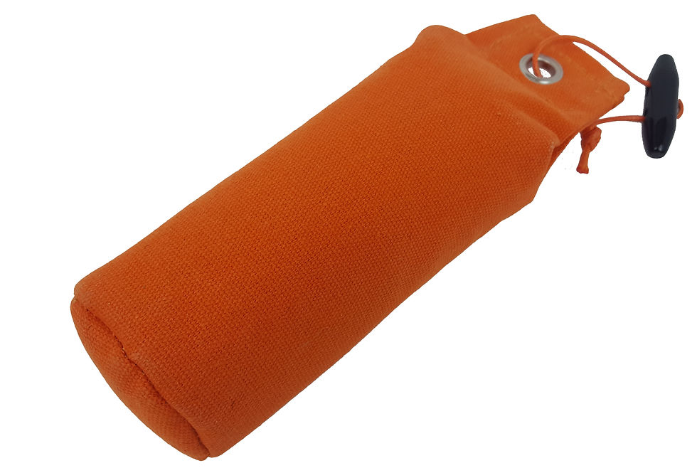 Thumbnail: 1/2lb Dog Training Dummy
