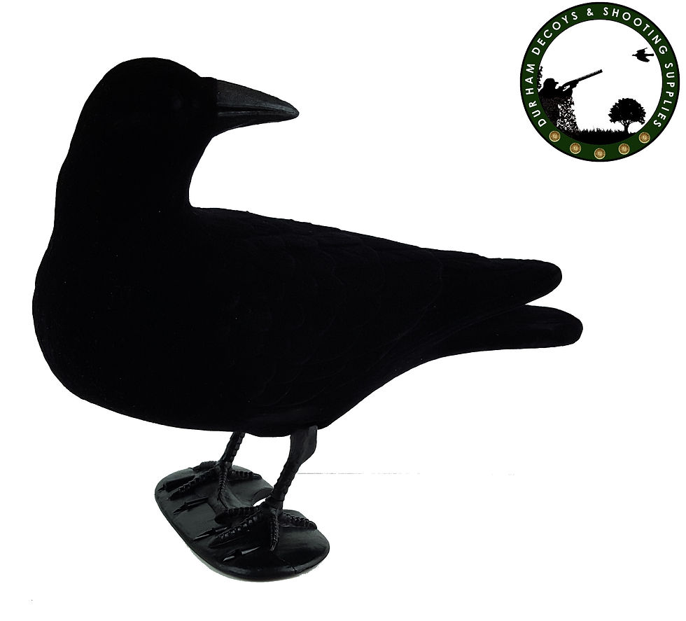 Thumbnail: Looking backward, flocked, full body crow decoy.....New in.