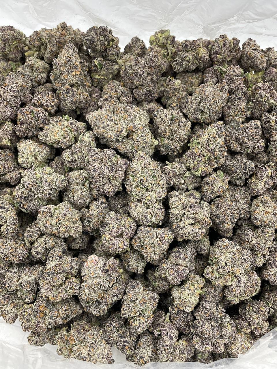 Thumbnail: Black Cherry Soda