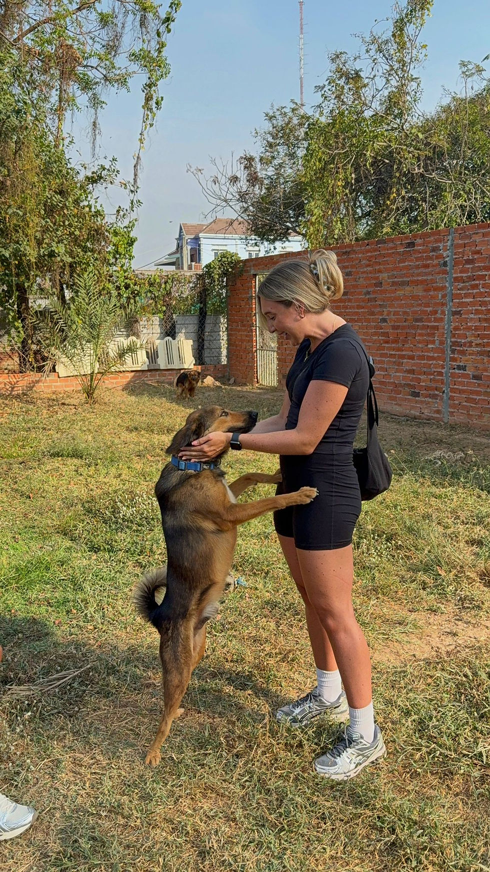 The sanctuary does such incredible work for stray dogs