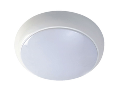 LED Downlight
