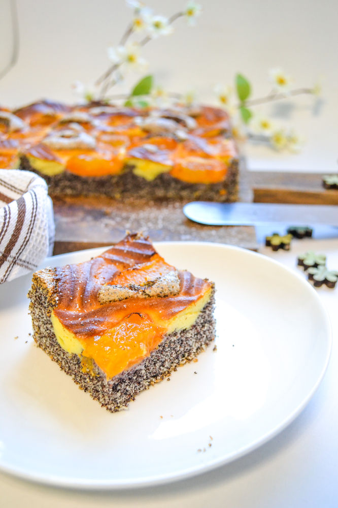 Mohn-Topfen-Kuchen mit Marillen