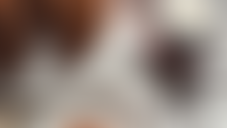 Schoko-Kaffee-Guglhupf mit 1 Tasse Kaffee, brennende Dekolichter, Kaffeebohnen, 1 Stück aufgeschnittener Guglhupf