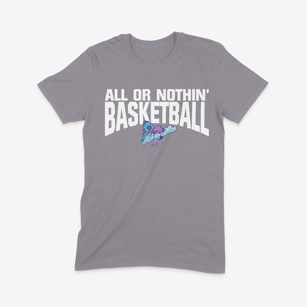 ALL OR NOTHIN' TEAM TEE (L3 Grey)