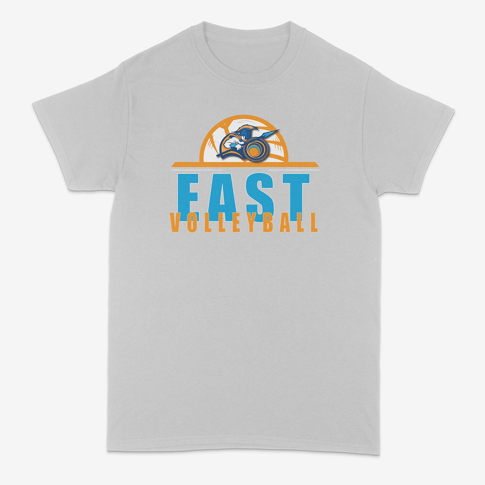 East College Prep Volleyball Tee (Grey)