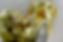 31223898_943691102479083_6667325780827045888_n.jpg