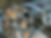 image11.jpeg