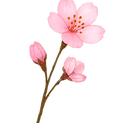 image1.png
