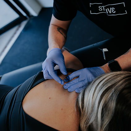 Photo Jan 22 2026, 6 30 42 AM.jpg