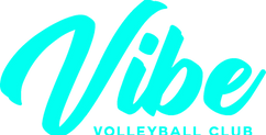 VIBE VC_ALTERNATE_Logo_ALL AQUA.png