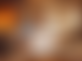 The Illusion of Learning in a World Obsessed with Metrics