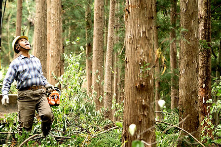 Lumberjack in Forest_edited.jpg