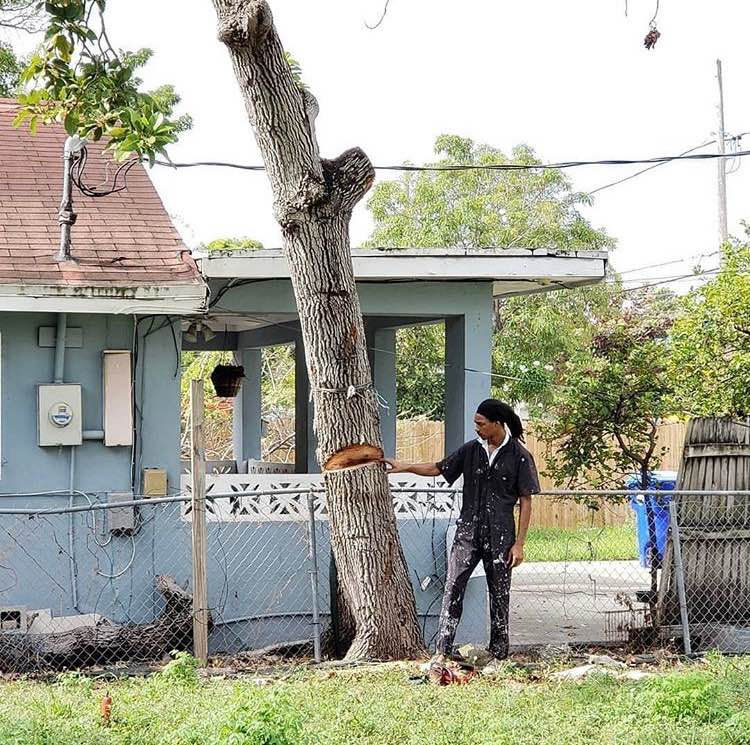 Notching A Pie Cut On A Leaning Tree