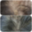 꾸미기_KakaoTalk_20210125_121026291_05.jpg