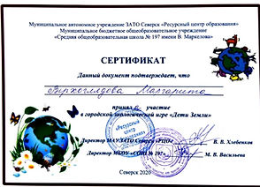97.jpg
